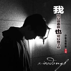 我可以惯着你也可以换了你 - 小东北林祥