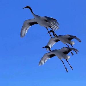 Roddy Ricch-The Box（SlK27 remix）