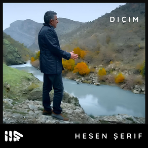 Diçim