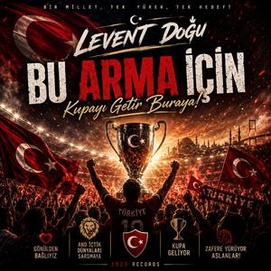 Bu arma için