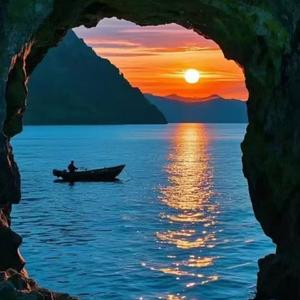 美丽的母猩猩（睡觉钢琴曲）