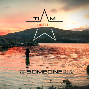 When Someone Like You Met Someone Like Me (feat. Hiorth)