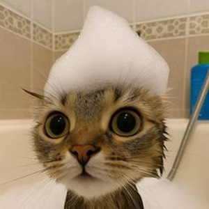 Dance With Ghosts (nightcore)