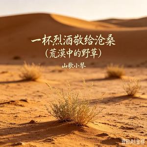 一杯烈酒敬给沧桑（荒漠中的野草）