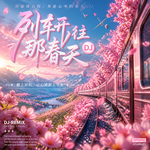 列车开往那春天DJ