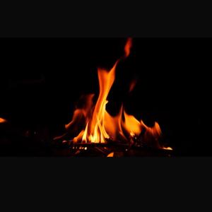 Karma's Gonna Catch You