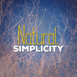 Sleep at the Water's Edge