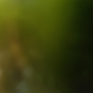 Acedia (2026 Remaster No03001)