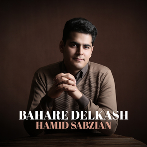 Bahare Delkash