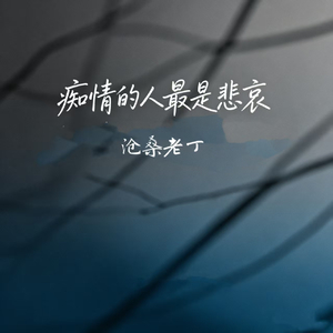 痴情的人最是悲哀