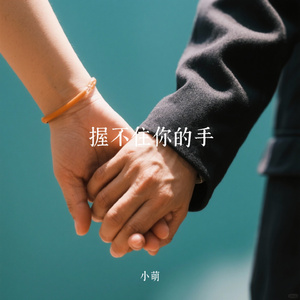 握不住你的手