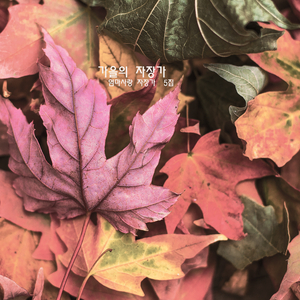 아기의 숙면을 위한 엄마의 마음이 들어 있는 뉴에이지 자장가 - 가을의 자장가