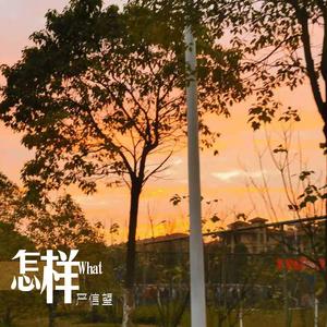 怎样
