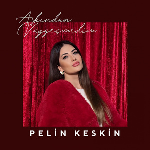 Aşkından Vazgeçmedim