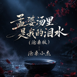 孟婆汤里是我的泪水(沧桑版)
