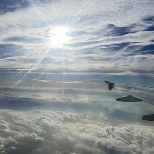 六亩杨桃名扬四海