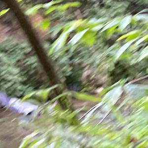 Stories Neva Told (feat. T$reet$)