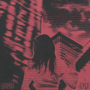 Шарамыга домой