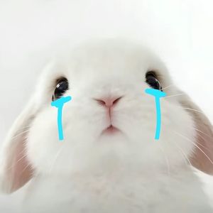 雨过后的风景ovo