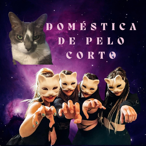 Doméstica de Pelo Corto
