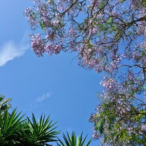 一期一会（いちごいちえ) 伴奏