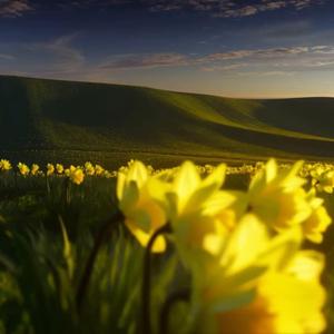 Hope You Don't Hate Me