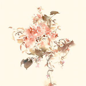 风缘（Cover 双笙）