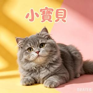 小寶貝