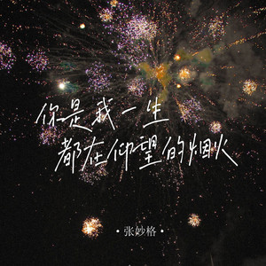 你是我一生都在仰望的烟火