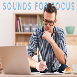 Zen Noise From The Woods