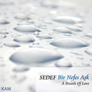 Benden Aldın Bana Satar