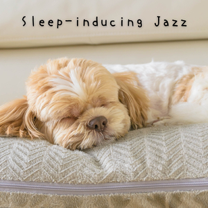 Moonbeam Dream Echoes