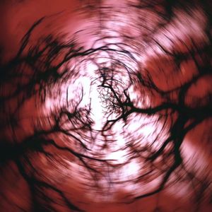 帕罗西汀（Prod.Eee.T&Bickyboy）