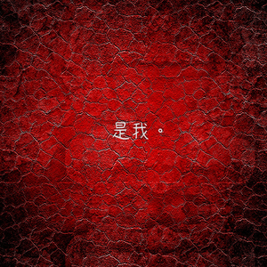 是我。(Prod. Track $wag)