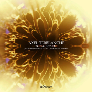 These Spaces (Mindmusik & Stasik T Remix)