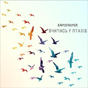 Вчитись у птахів