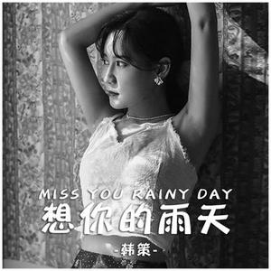 想你的雨天 (DJ版)