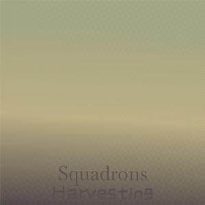 Uncommunicative Acreage