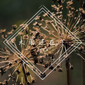 大雨还在下