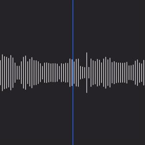 瓶与抛光者（翻自 廖俊涛）