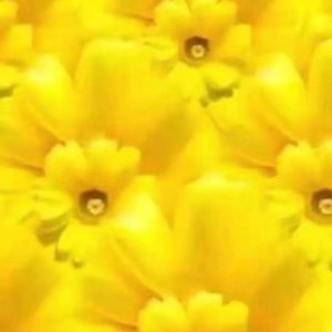 下个 路口见_东哥