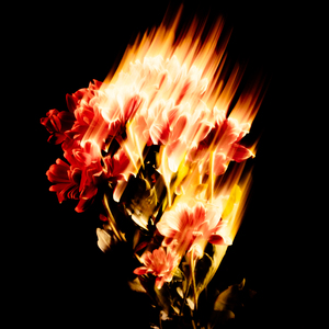 Marmalade (For Your Love) [Shurk Remix]