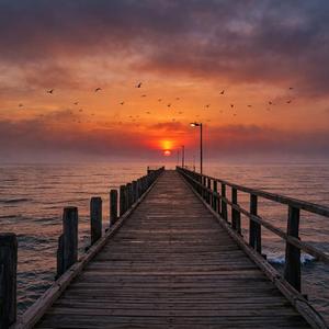 Kalptekini Kim Bilebilir