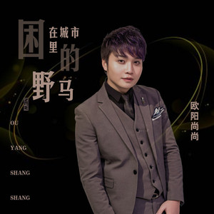 困在城市里的野马