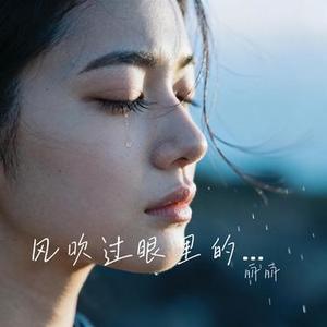 风吹过眼里的愁 (Cover 袁婷)