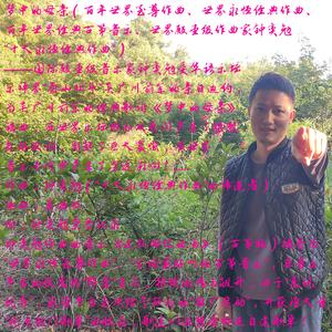 梦中的母亲（百年世界经典古筝音乐，百年世界至尊作曲，世界殿堂级作曲人钟奕勉“十大永恒经典作曲”）