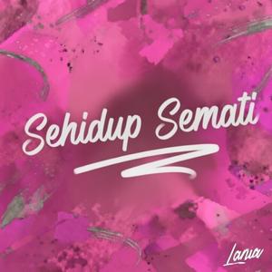 Sehidup Semati