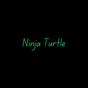 Ninja Turtle