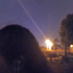 温蒂公主的侍卫(Demo)