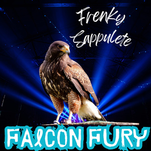 Falcon Fury